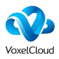 VoxelCloud logo