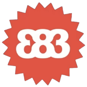 383 Project logo