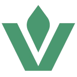 Vamo logo