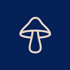 DIRTEA logo
