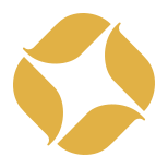 Lapis logo