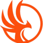 RISE Network Group logo