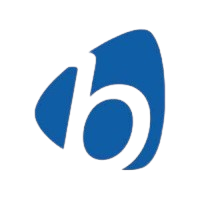 Business Systems International logo