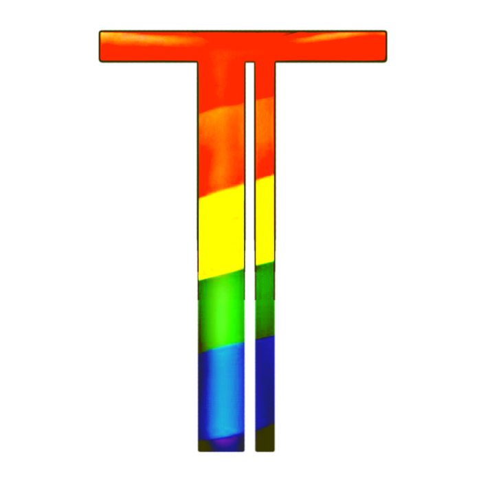 Turing Intelligence logo