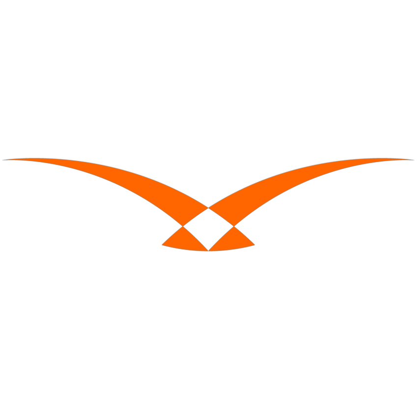 Hawk-Eye Innovations logo