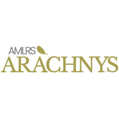 Arachnys logo