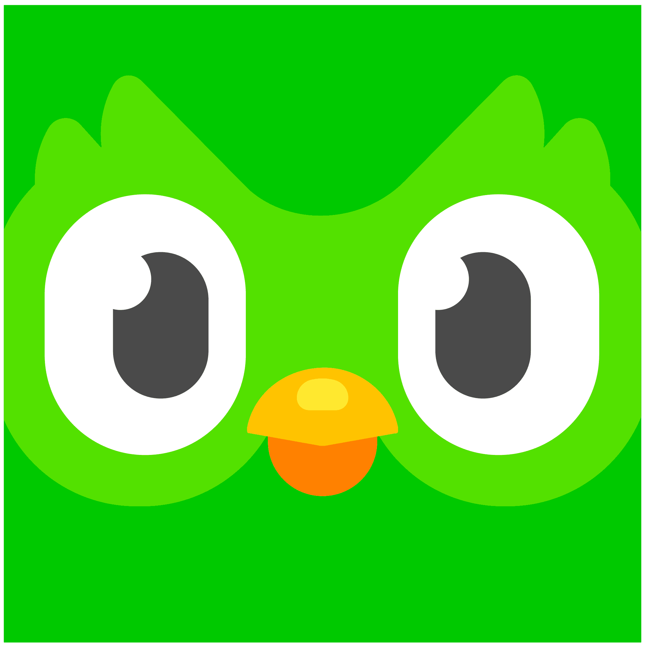 Duolingo logo