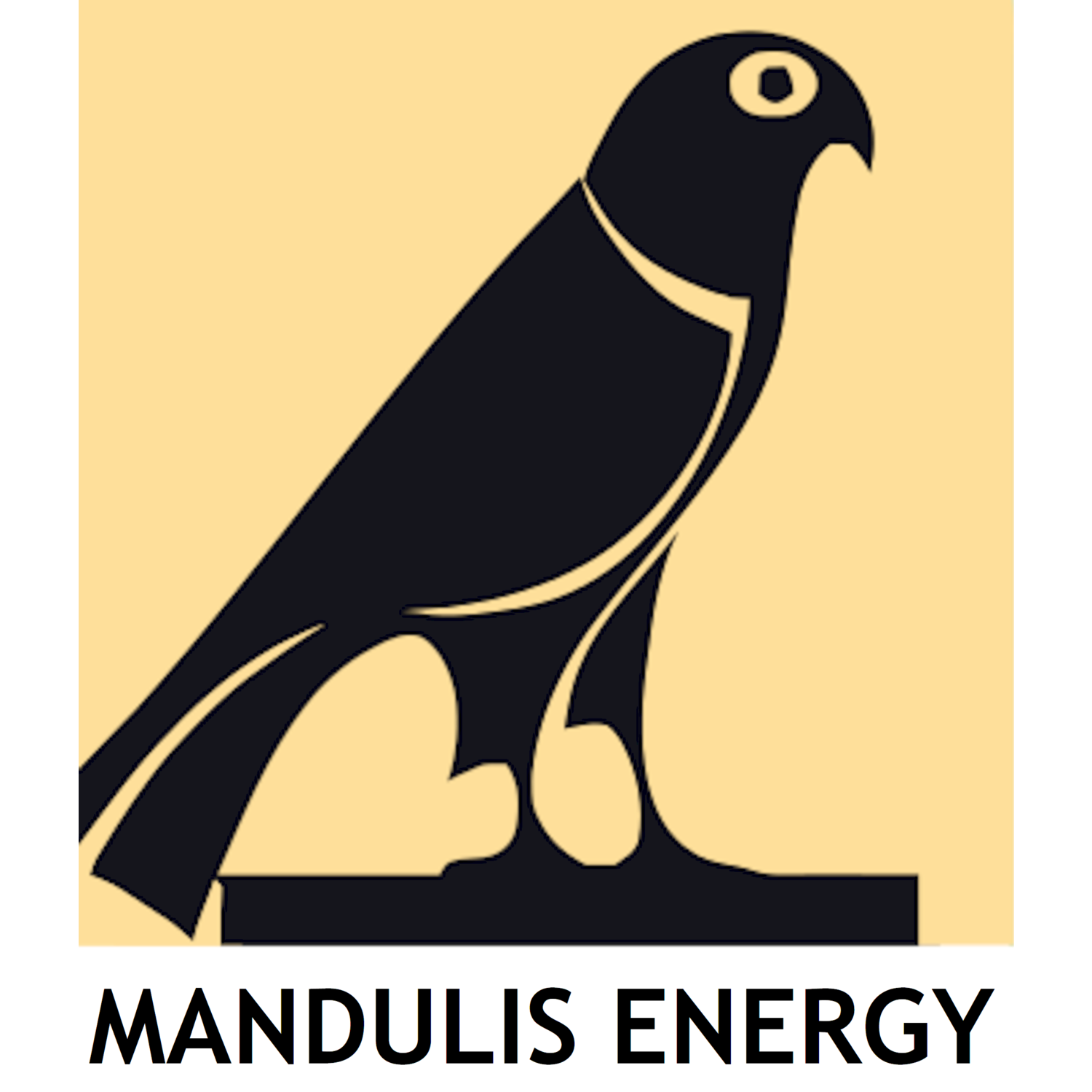 Mandulis Energy logo