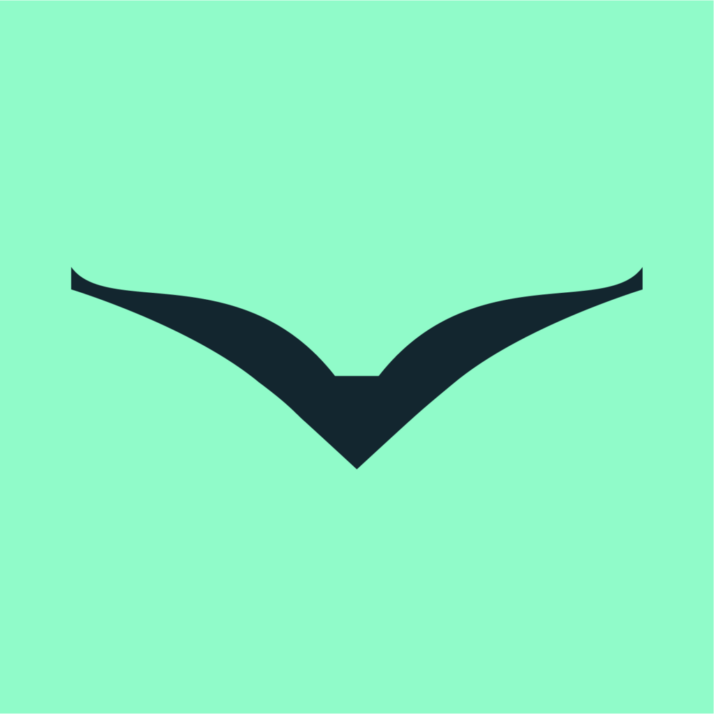 Flok Health logo
