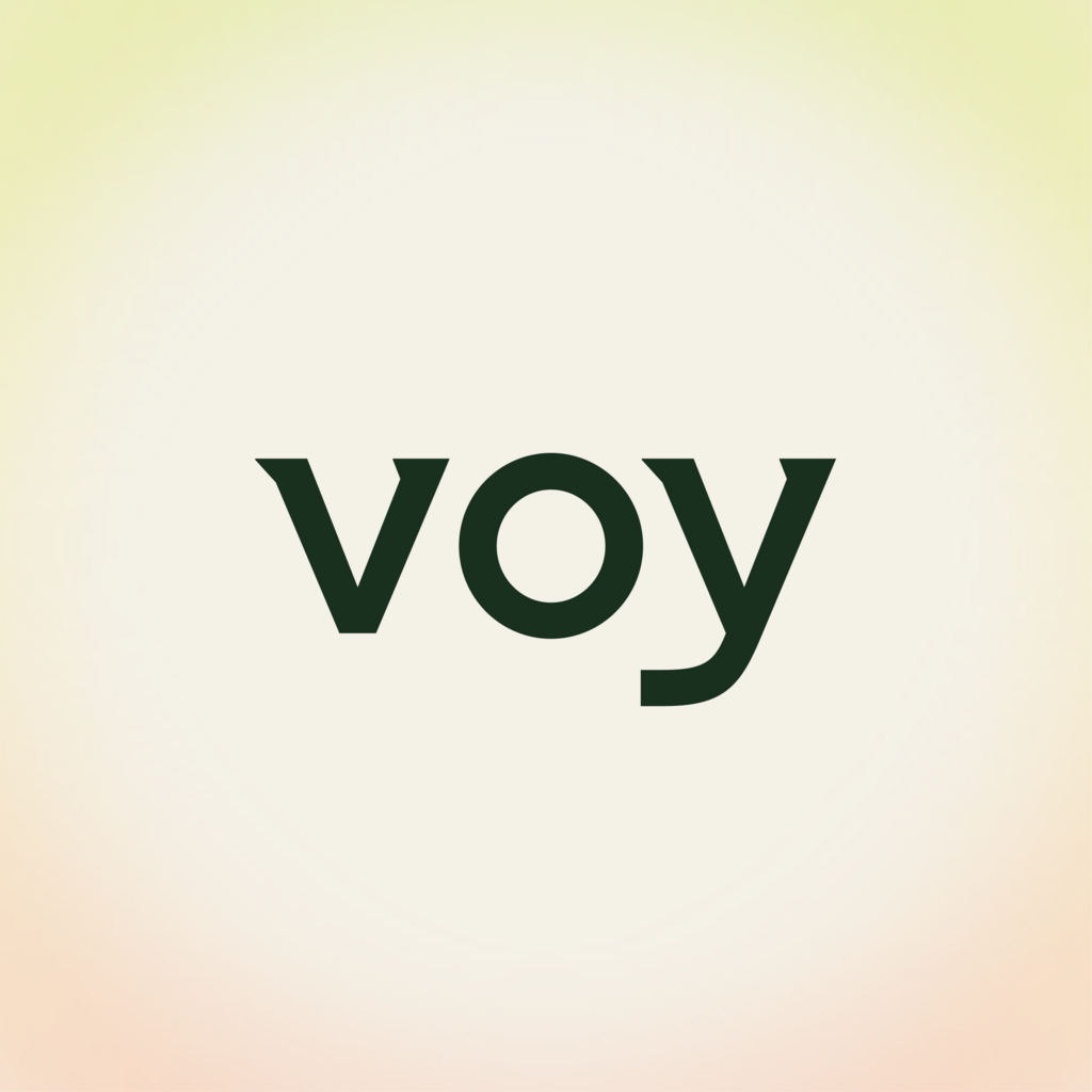 Voy logo